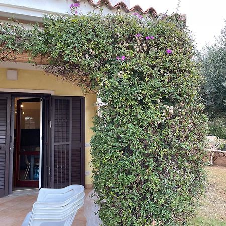 Tavolara Paradise Home ポルト・サン・パーオロ エクステリア 写真