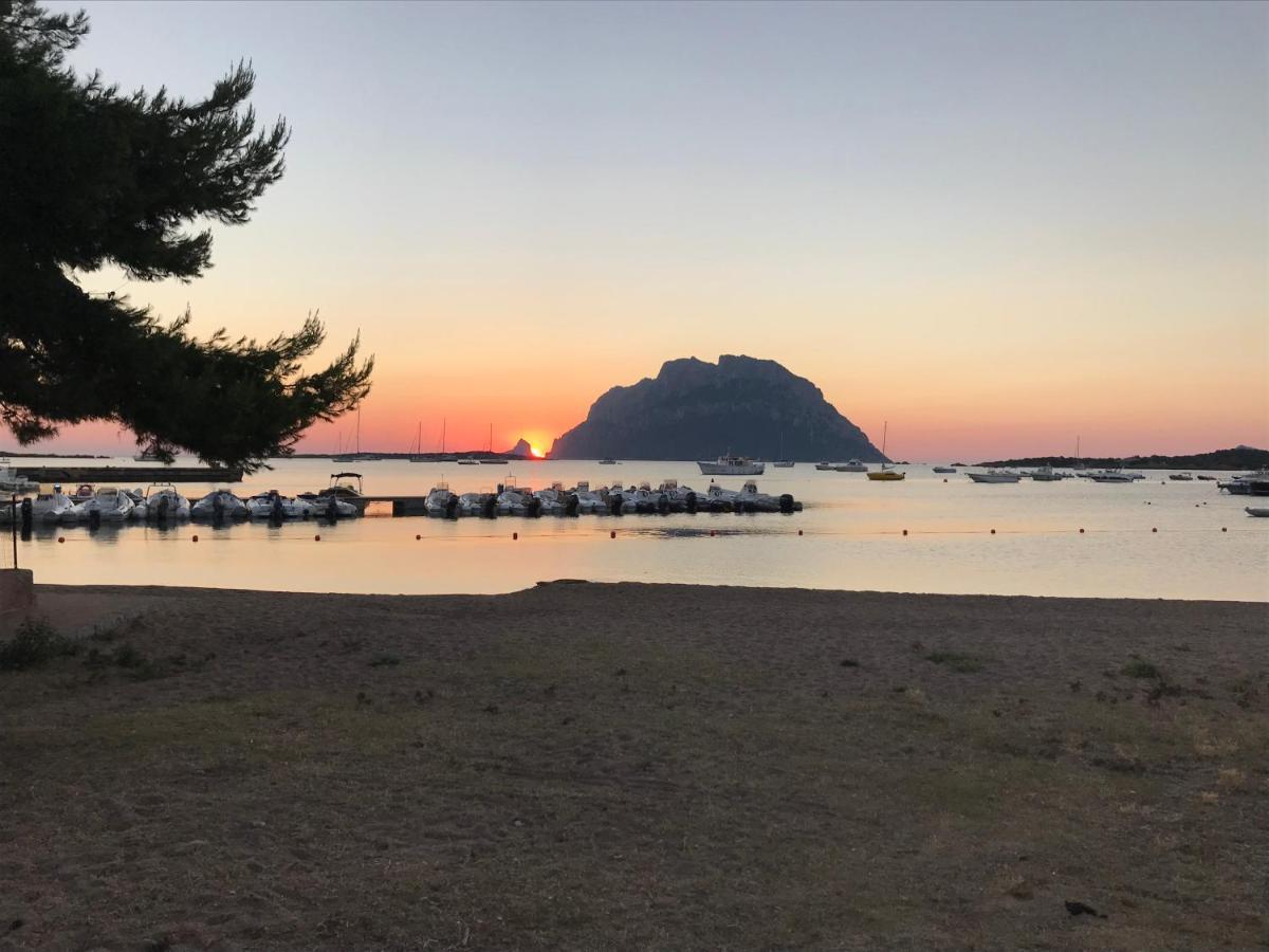 Tavolara Paradise Home ポルト・サン・パーオロ エクステリア 写真