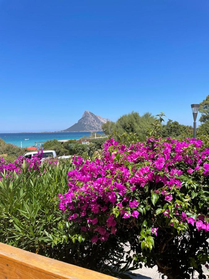 Tavolara Paradise Home ポルト・サン・パーオロ エクステリア 写真