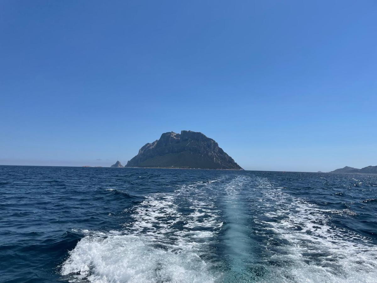 Tavolara Paradise Home ポルト・サン・パーオロ エクステリア 写真